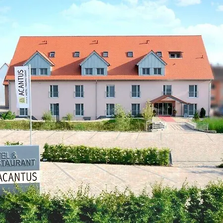Acantus * Weisendorf